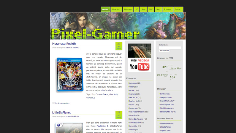 Pixel Gamer