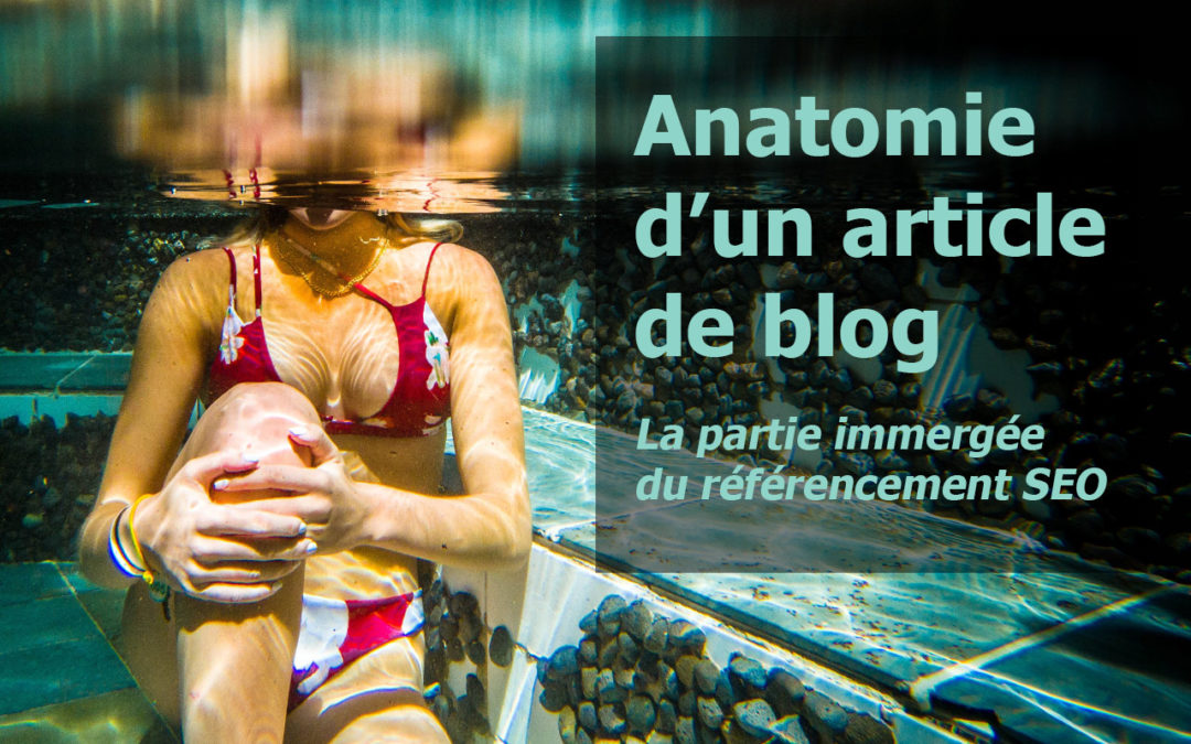 référencement seo anatomie article de blog