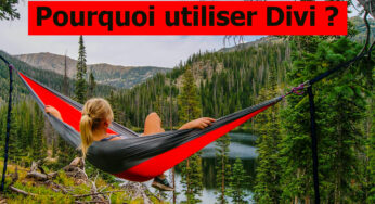 Pourquoi utiliser Divi vs un autre thème WordPress?