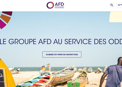 Agence française de développement (AFD)